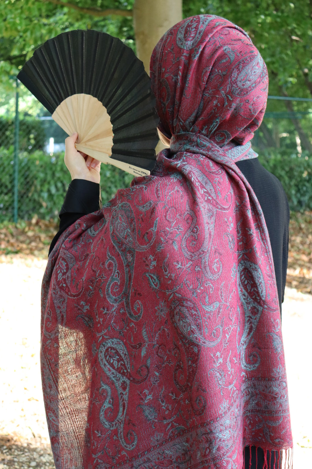 Pashmina Collection