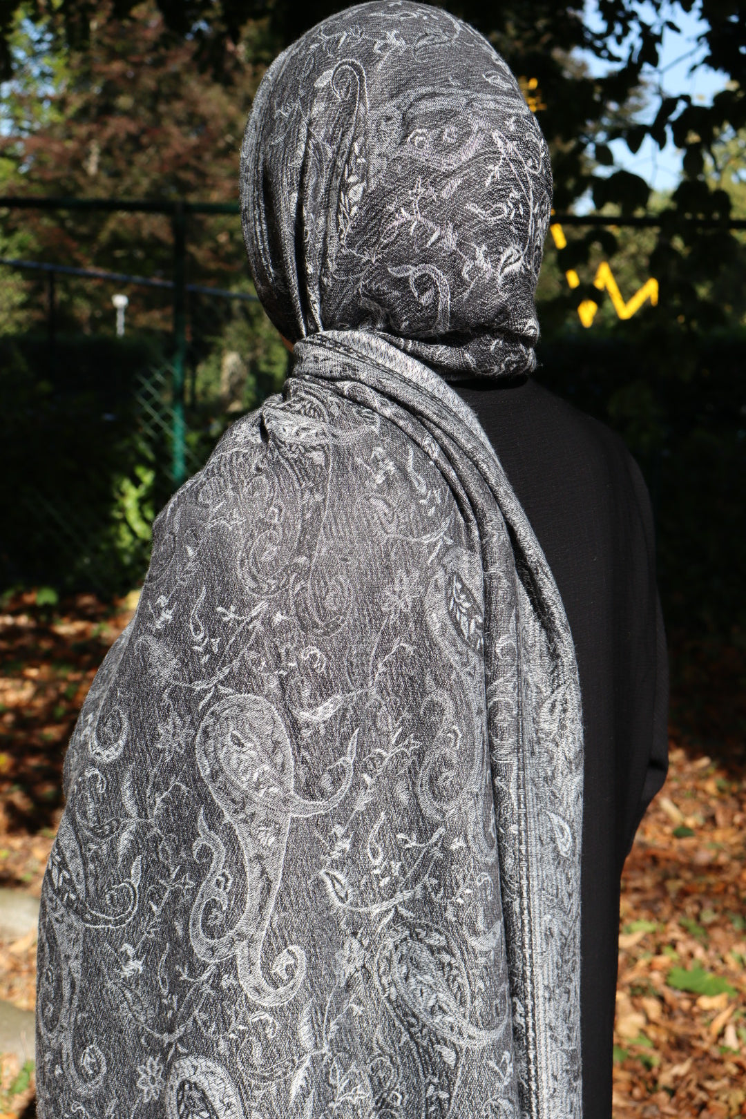 Pashmina Collection