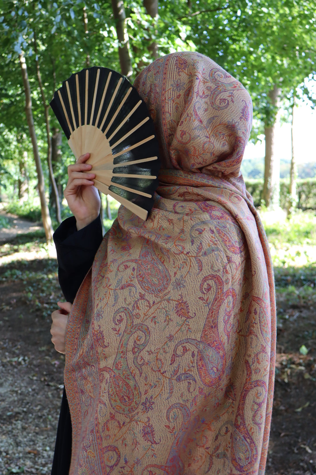 Pashmina Collection